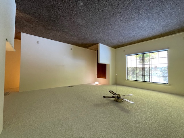 40411 Live Oak Dr